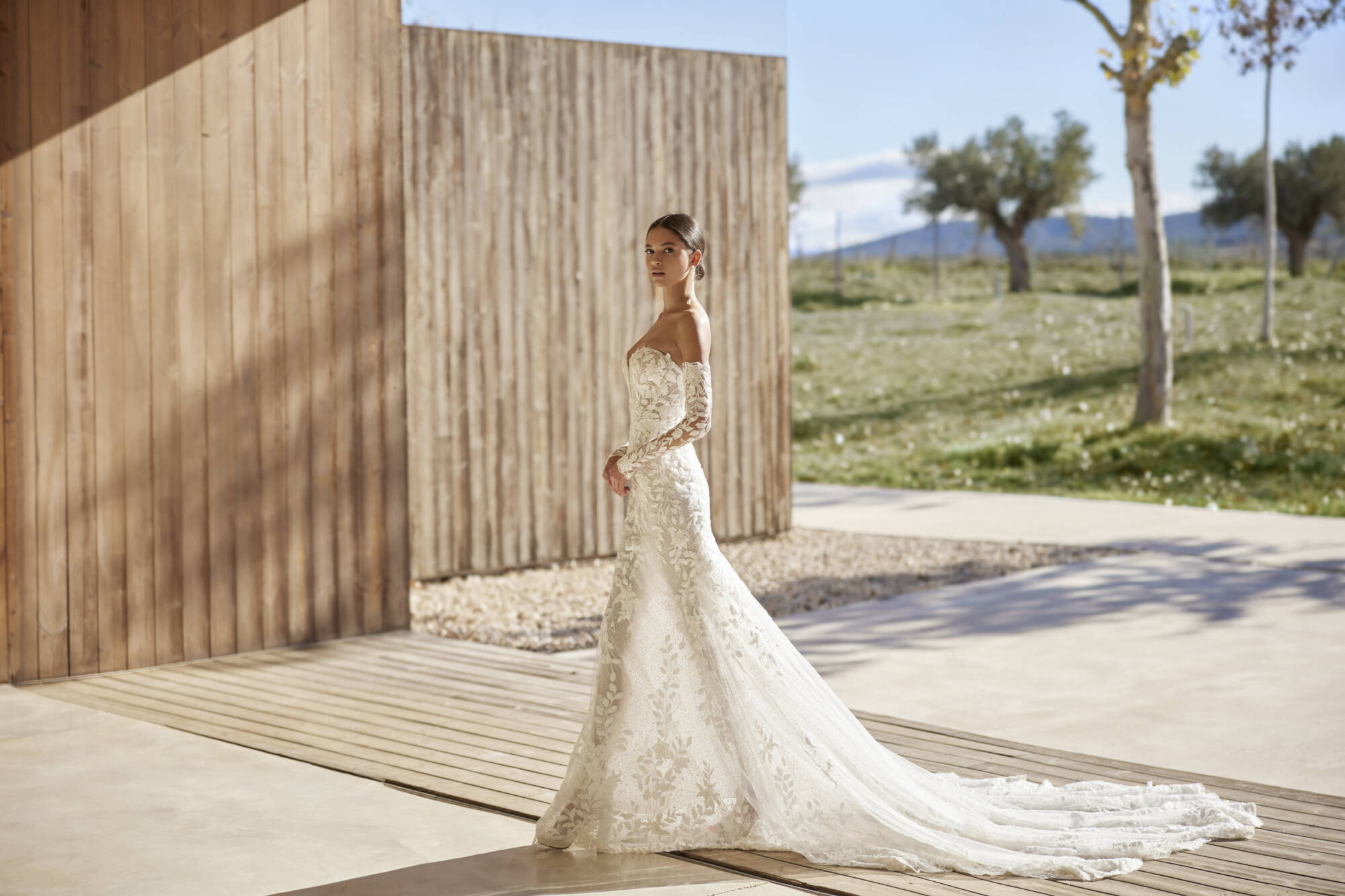 9A27_ALZIR_ROSA_CLARA_3