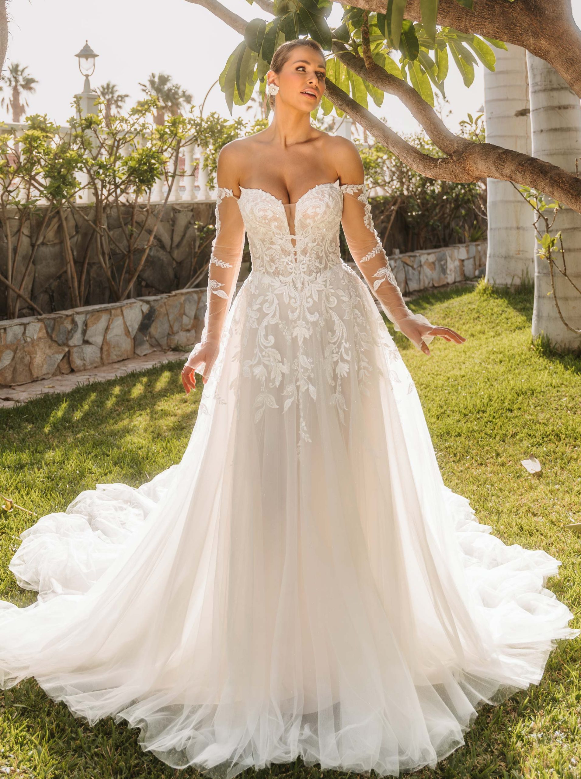 2614_ MARGHERITA GIALLA