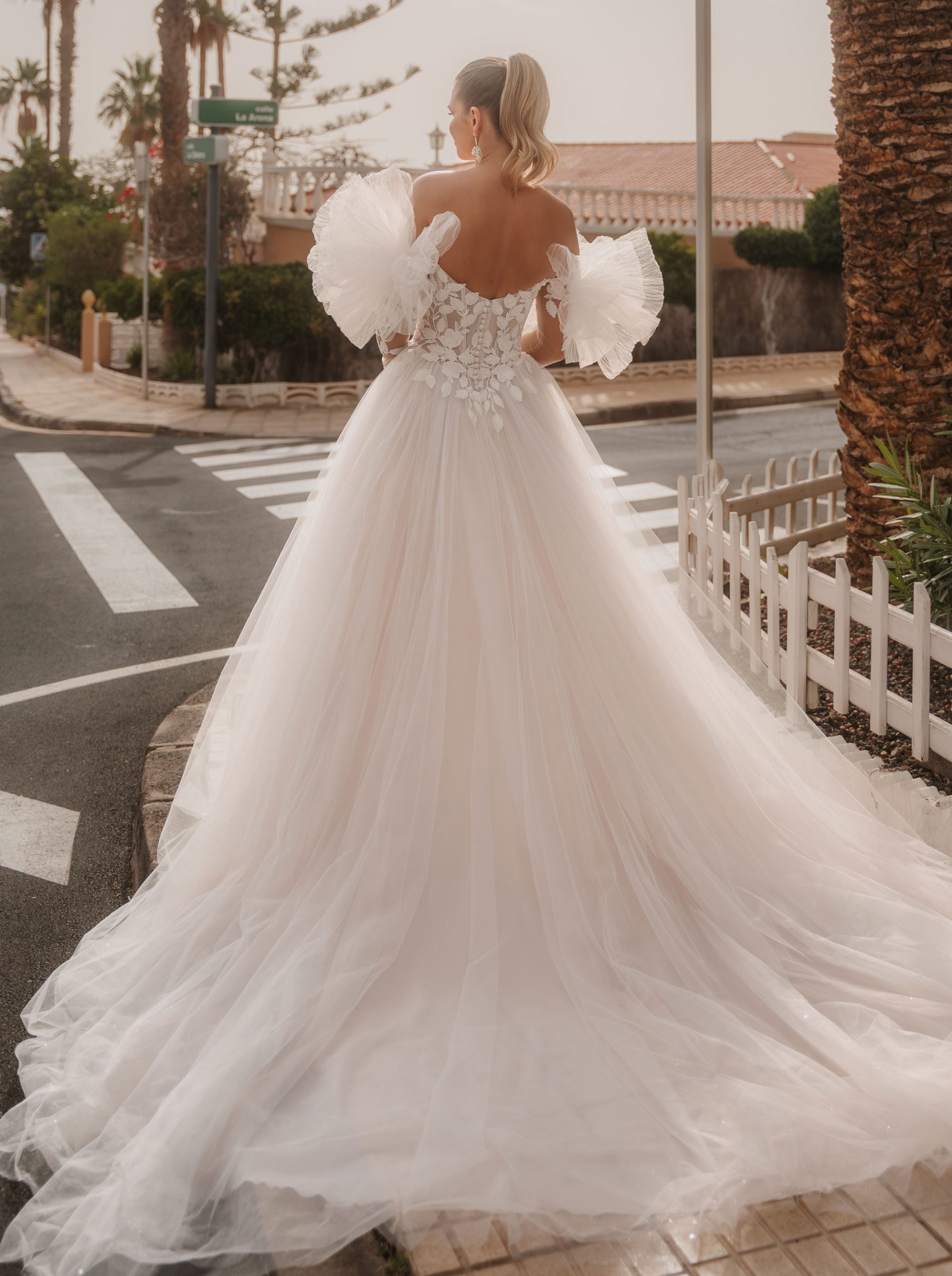 -82319_STRELITZIA REGINA